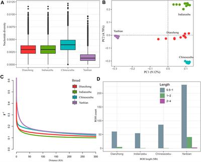 Assessing Genomic Diversity and Productivity Signatures in Dianzhong Cattle by Whole-Genome Scanning